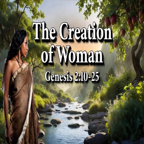thumbnail podcast The Creation of Woman | Genesis 2:10-25