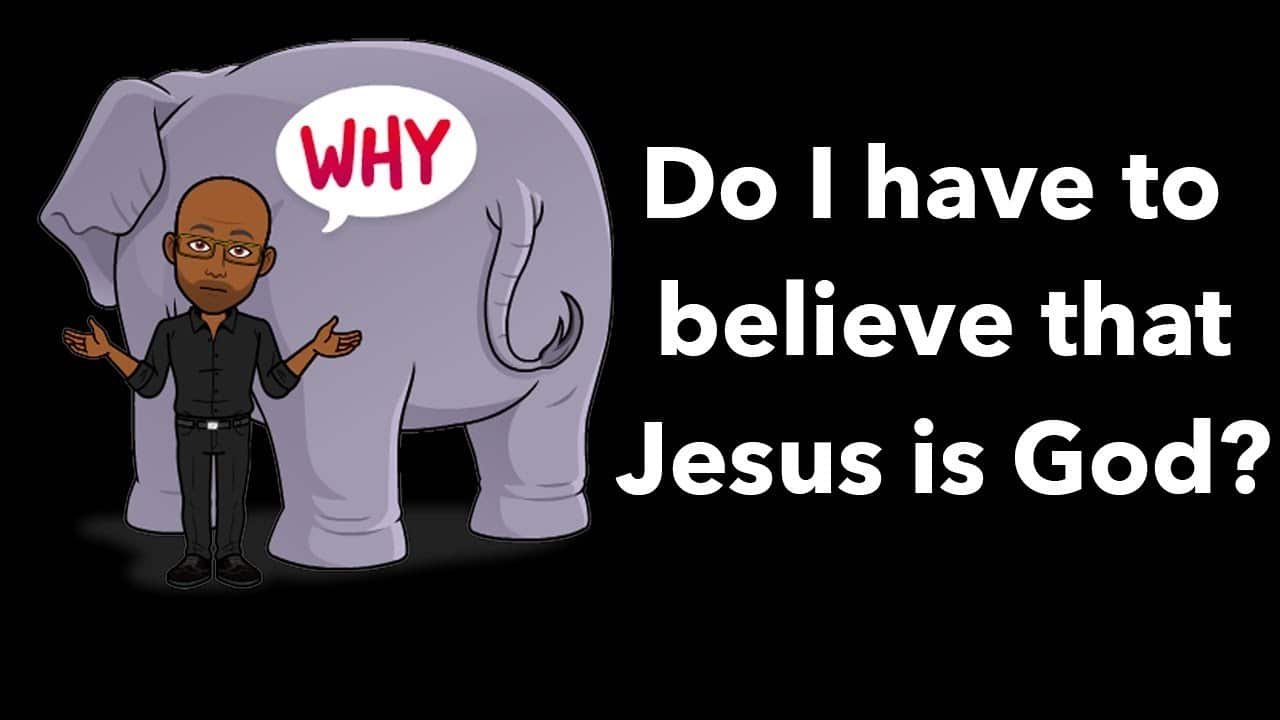 Do you have to believe Jesus is God? | John 8:21-24; Exodus 3:14