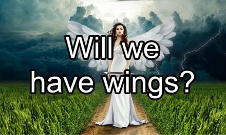 Will we have wings?