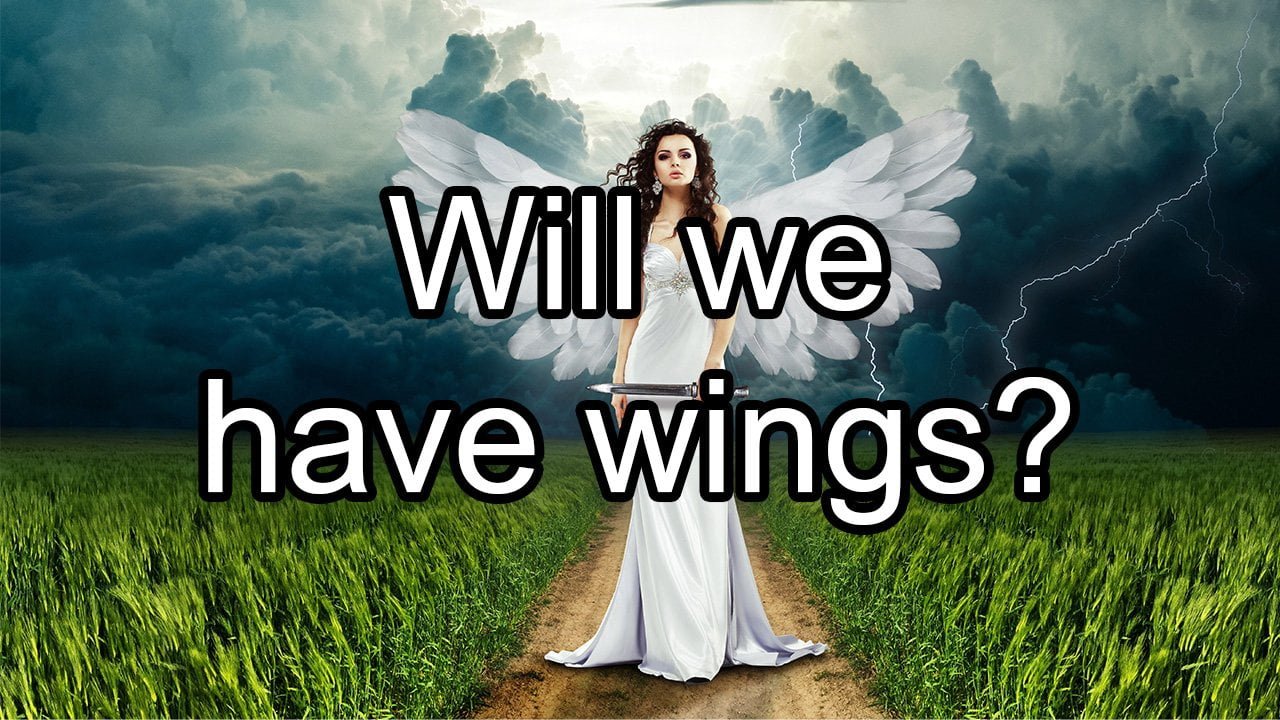 Will we have wings?