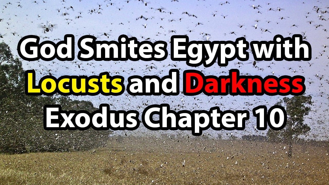 God Smites Egypt with Locusts and Darkness – Exodus Chapter 10