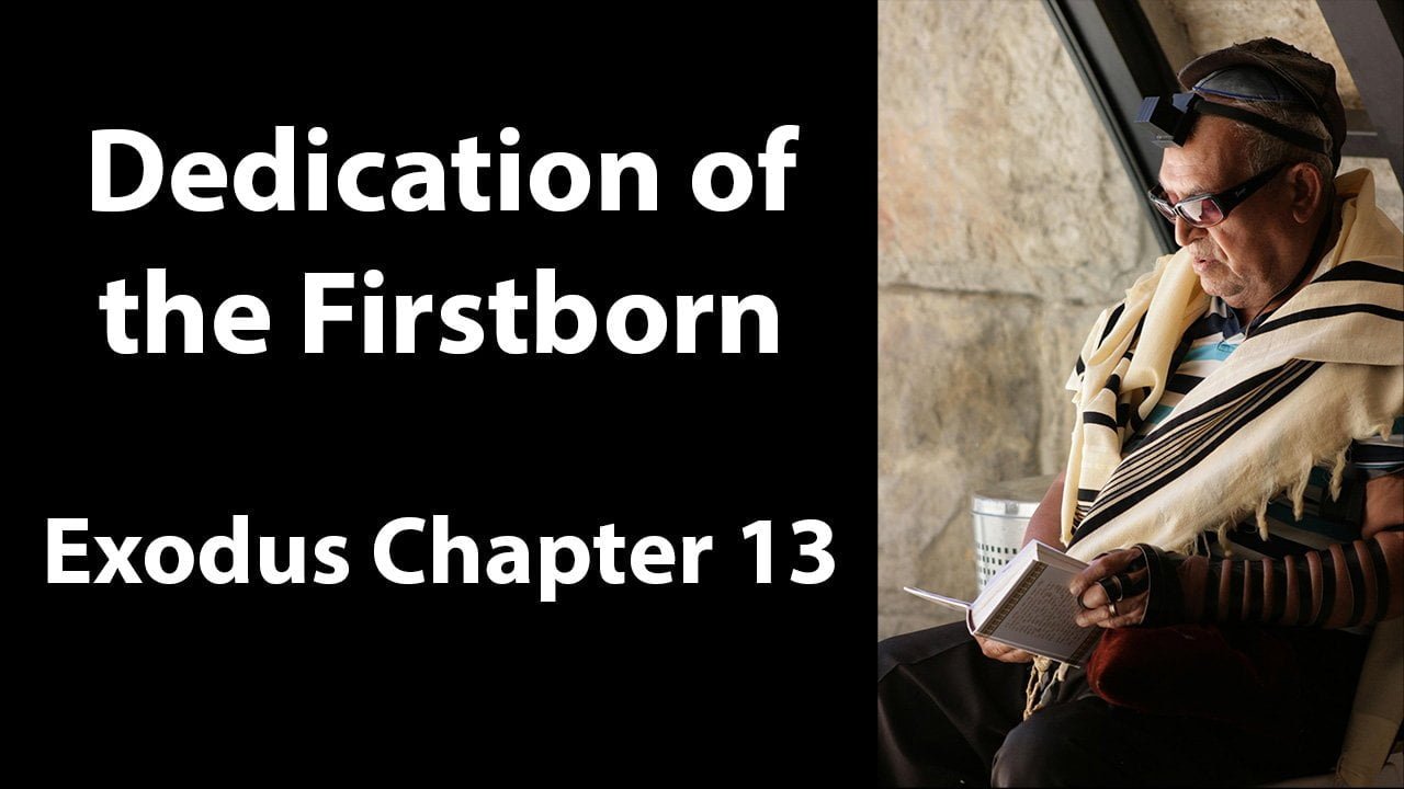 Dedication of the Firstborn- Exodus Chapter 13