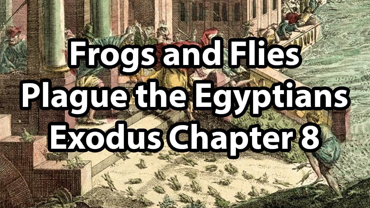 Frogs and Flies Plague the Egyptians – Exodus Chapter 8