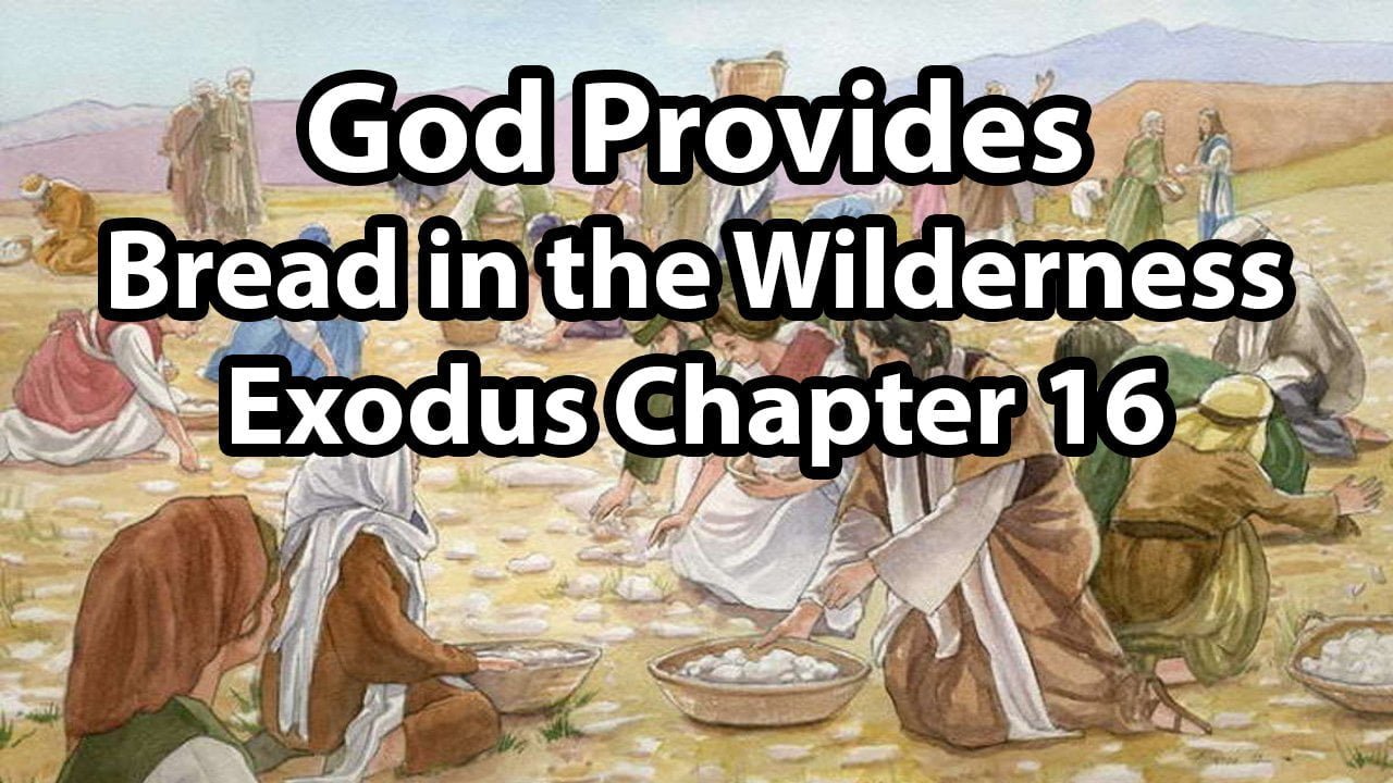 God Provides Bread in the Wilderness – Exodus Chapter 16