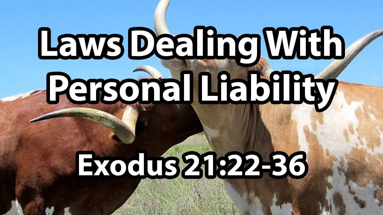 Laws Dealing With Personal Liability – Exodus Chapter 21:22-36