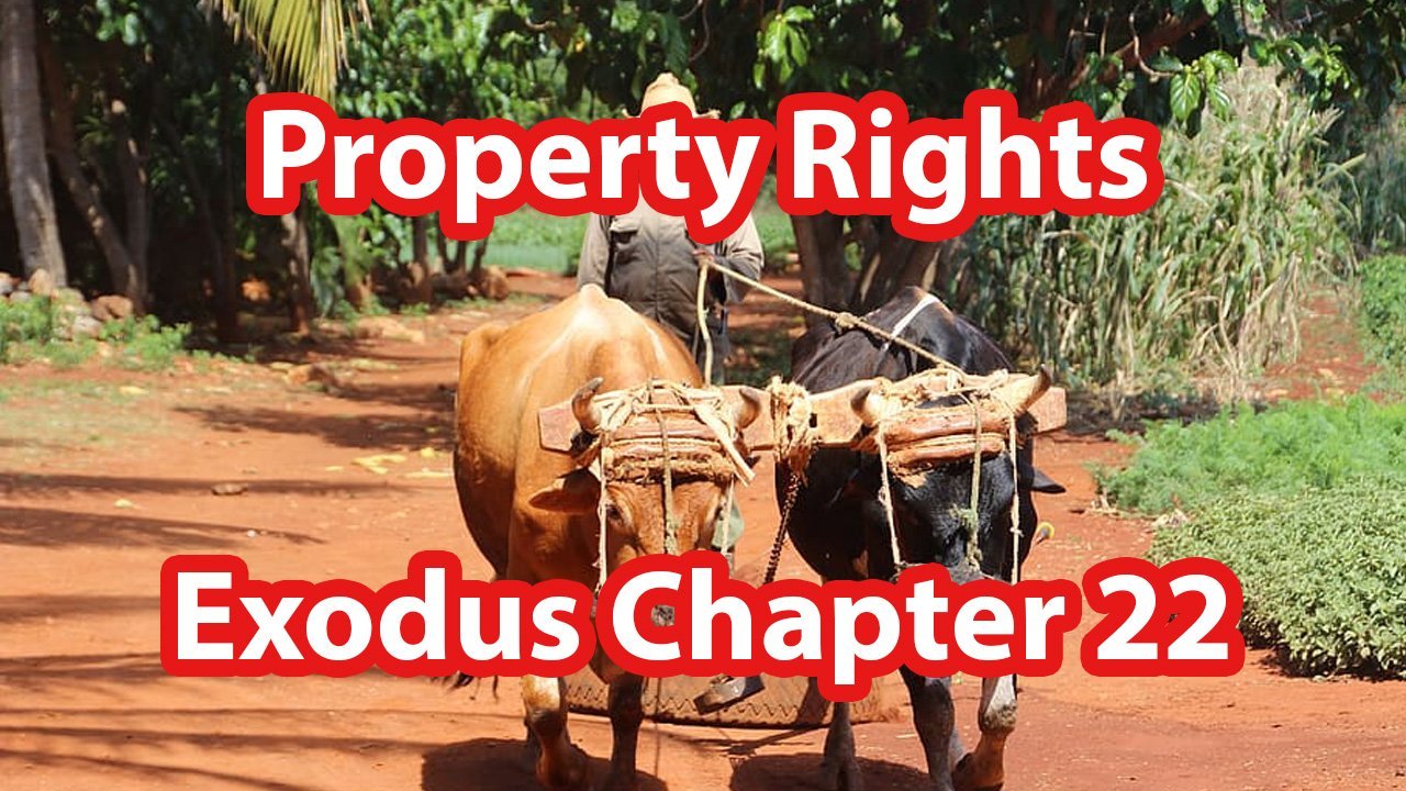 Property Rights – Exodus Chapter 22