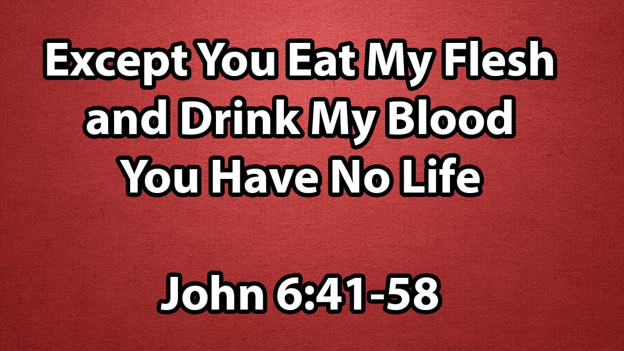 Except You Eat My Flesh and Drink My Blood You Have No Life - John 6:41-58