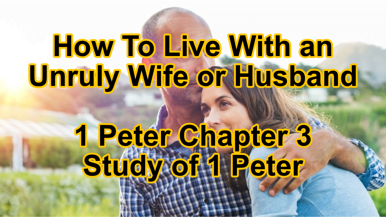 HOW TO LIVE WITH AN UNRULY WIFE OR HUSBAND - 1 Peter 3