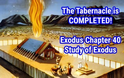 The Tabernacle is COMPLETED! (Exodus Chapter 40)