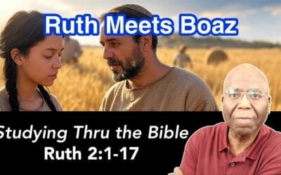 Reaping Blessings: Ruth Encounters Boaz (Ruth 2:1-17)