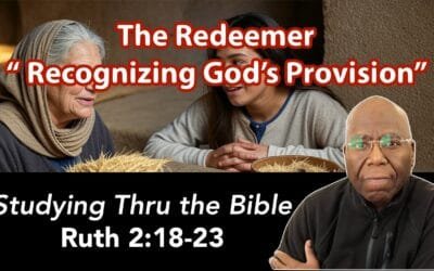 The Redeemer:  Recognizing God’s Provision (Ruth 2:18-23)