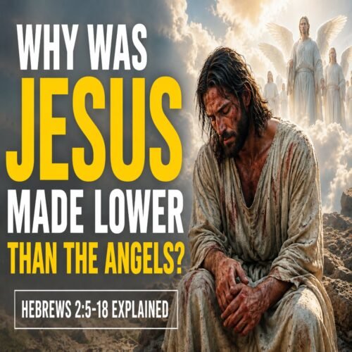Why Was Jesus Made Lower Than the Angels? | Hebrews 2:5-18 Explained